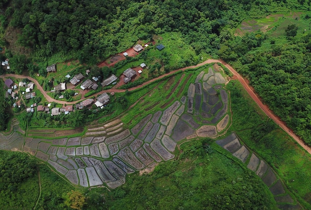 Photos aériennes Un petit village dans la jungle à Chiang Mai