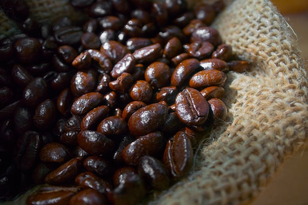 Photos de grains de café et des sacs sur le plancher en bois