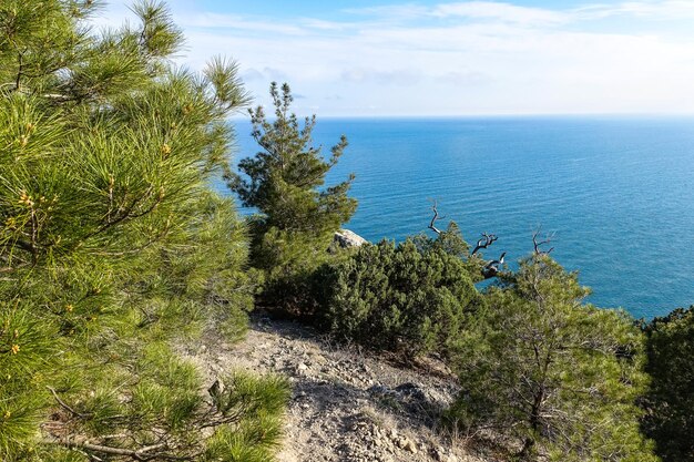 Photos de nature sur le sentier Golitsyn Paysages de la mer Noire et des montagnes de Crimée dans la verdure Crimée