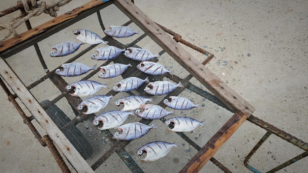 Photos de poisson transformé et séché