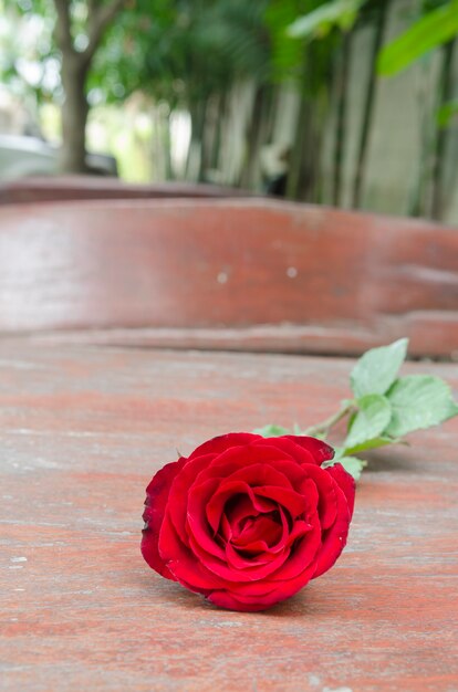 Photos de roses et de cadeaux pour la Saint-Valentin.