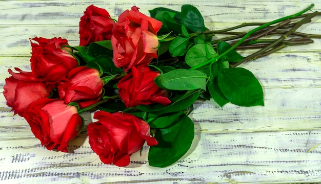 Photo photos de roses rouges et violettes