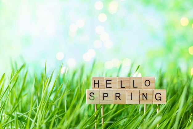 Phrase Hello Spring sur le fond d'herbe verte d'été avec la rosée