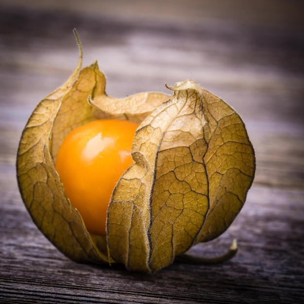 Physalis ou Cape Gooseberry fruit sur fond bois ancien effet Vintage