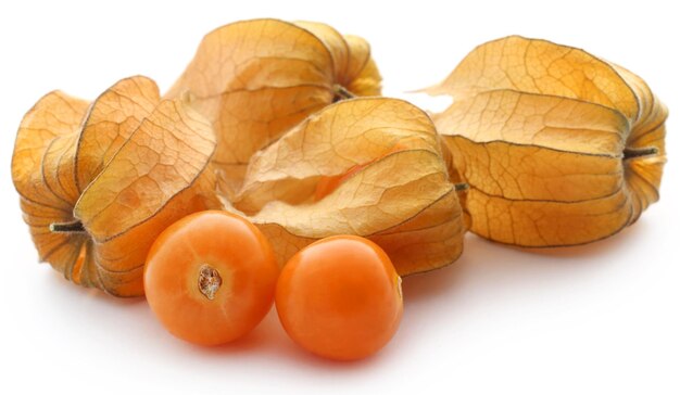 Physalis comestible frais sur fond blanc