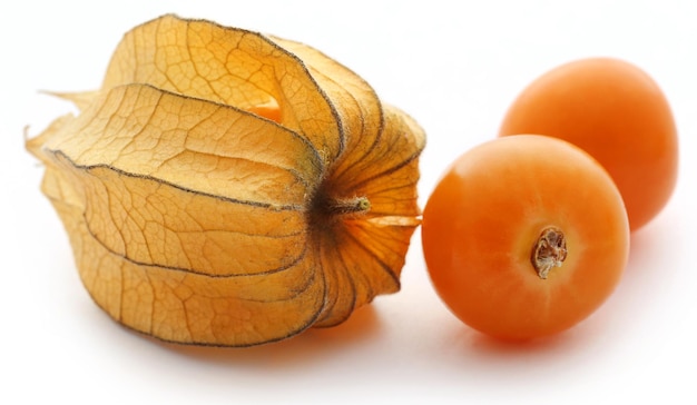 Physalis comestible frais sur fond blanc