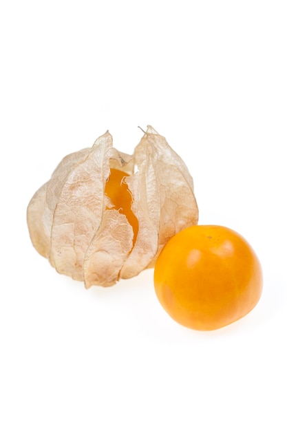 Physalis sur fond blanc