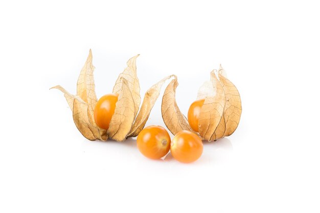 Physalis isolé sur fond blanc