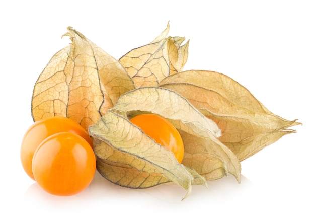 Physalis mûr isolé sur fond blanc