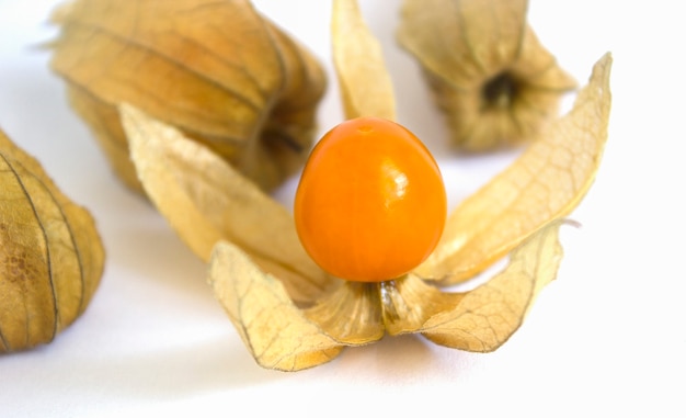 Physalis organique frais (groseille à cape) péruvienne sur blanc