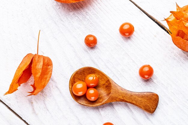 Physalis sur souche en bois baies mûres d'automne rouge physalis baies fruits fruits Physalis ou plantes lanternes chinoises