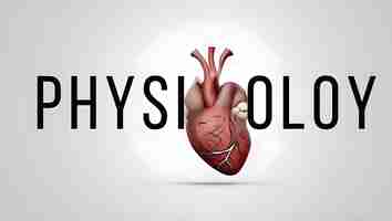 Photo la physiologie