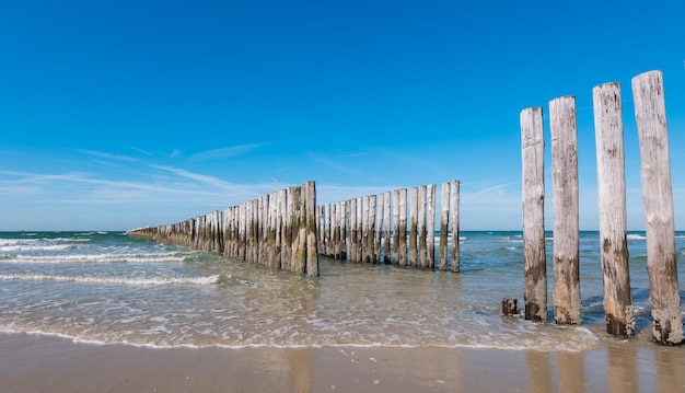 Épi en bois sur la plage aux Pays-Bas