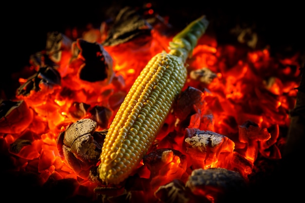 Épi de maïs mûr est frit sur des charbons ardents rouges, gros plan