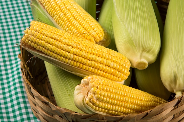 Épi de maïs, révélant des grains jaunes