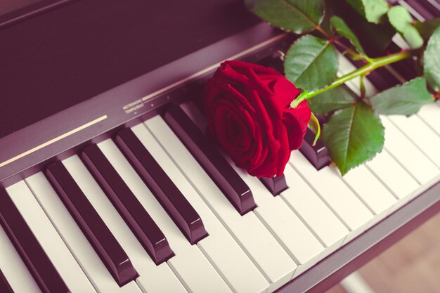 Piano à queue avec rose rouge