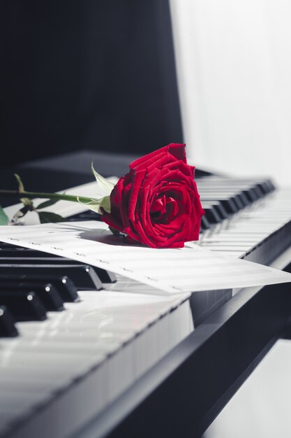 Piano à queue avec rose rouge