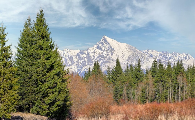 Pic du mont Krivan (symbole slovaque) au printemps, un peu de neige encore au sommet, avec un ciel bleu au-dessus, des conifères et des buissons au premier plan