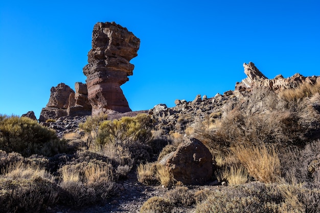 Pic du Teide. Ténérife, Espagne. plantes et lave.