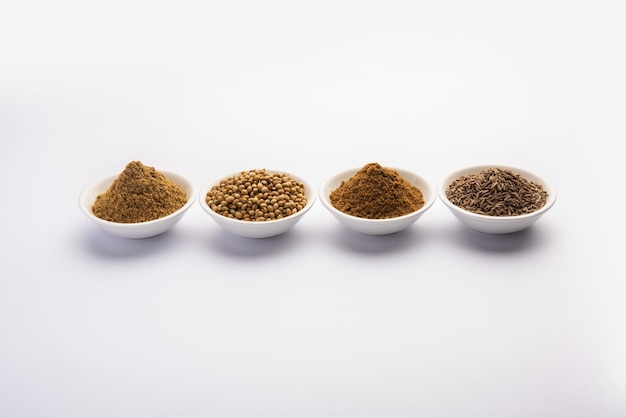 Épice indienne Tas de poudre de coriandre ou poudre de Dhaniya ou graines séchées de persil chinois, mise au point sélective