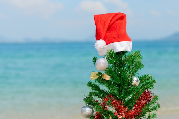 Épicéa dans un bonnet de Noel sur la plage. Fermer.