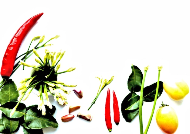 Épices chaudes, ingrédients aromatiques de piment sur fond blanc