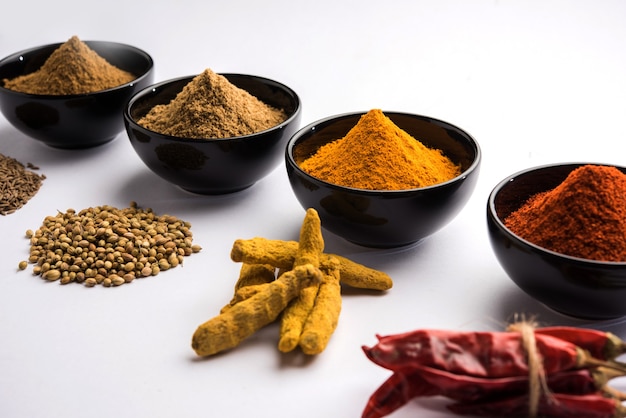 Épices colorées indiennes. Photo de groupe de quatre épices indiennes de base comme le piment rouge cru, le curcuma, la coriandre et la poudre de cumin. mise au point sélective