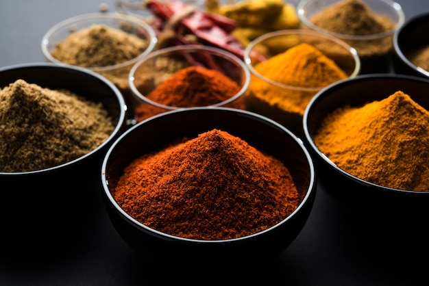 Épices colorées indiennes. Photo de groupe de quatre épices indiennes de base comme le piment rouge cru, le curcuma, la coriandre et la poudre de cumin. mise au point sélective