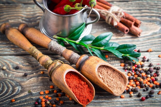 Épices et condiments pour la nourriture