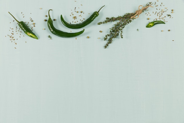 Épices et herbes assorties sur fond vert clair. Fond d'assaisonnements