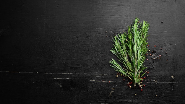 Épices et herbes Romarin frais sur fond de bois noir Vue de dessus Espace libre pour votre texte