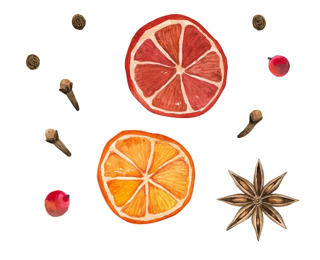 Épices d'hiver. Oranges, anis étoilé, clou de girofle, poivre. Illustration aquarelle dessinée à la main. Isolé sur un mur blanc.