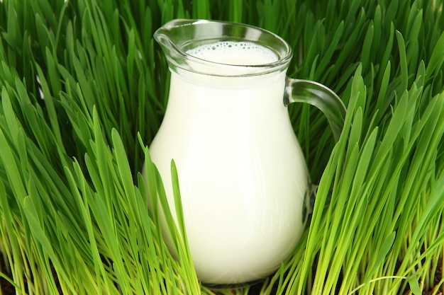 Pichet en verre de lait debout sur l'herbe se bouchent