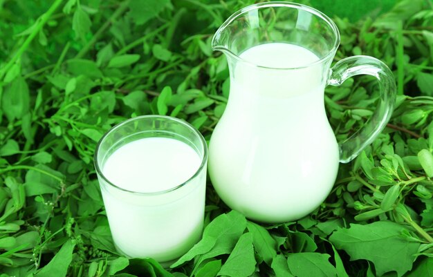 Pichet et verre de lait sur l'herbe