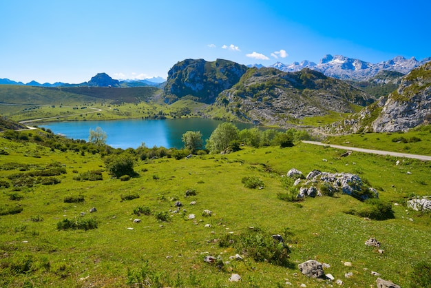 Picos de Europa Enol lake in Asturias Espagne