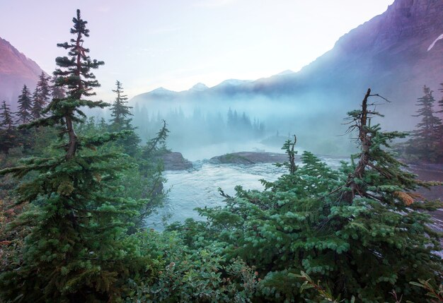 Pics rocheux pittoresques du Glacier National Park, Montana, USA. Beaux paysages naturels.