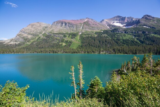Pics rocheux pittoresques du Parc National des Glaciers Montana USA Beaux paysages naturels
