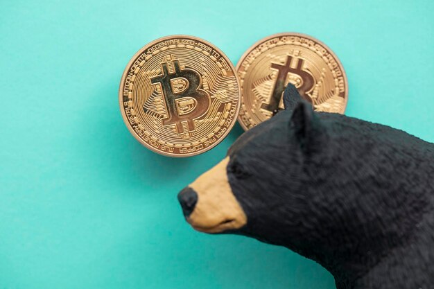 Pièce de crypto-monnaie Bitcoin avec un grizzli. Commerce de bitcoins baissier.