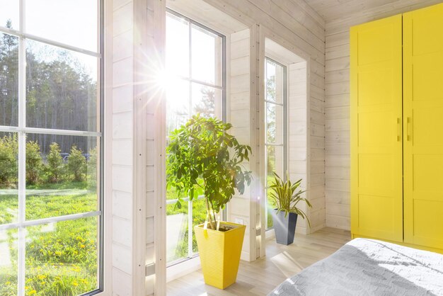 Pièce intérieure lumineuse dans une maison en bois avec grande fenêtre donnant sur la cour d'automne Concept d'automne maison et jardin Plante Sansevieria trifasciata Les couleurs tendance de 2021 sont le gris et le jaune