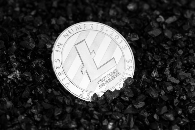 Pièce de monnaie Litecoin sur fond de gravier noir. Argent blockchain de crypto-monnaie