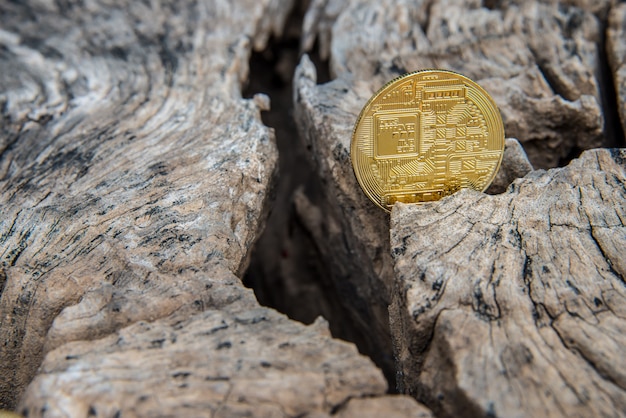 Pièce d&#39;or bitcoin sur et l&#39;argent sur la table en bois.