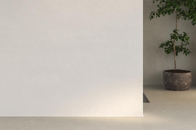 Pièce vide sans mobilier, comprenant plantes, piscine, mur de béton. Design minimal, espace maquette. 3d
