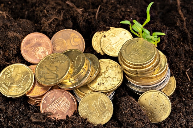 Pièces en euros et concept de croissance financière de pousses de plantes