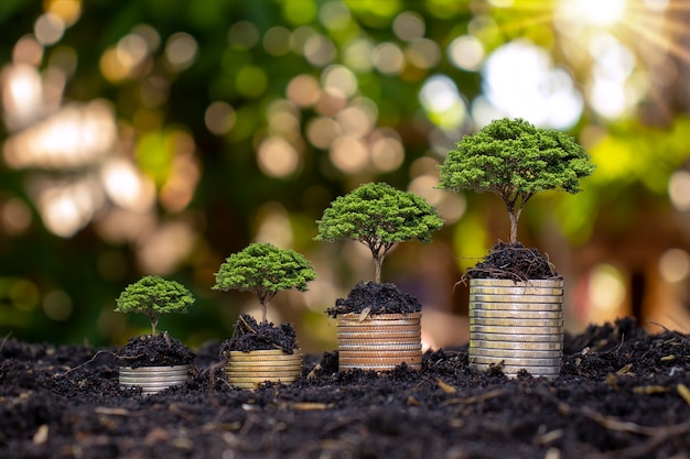 Des pièces de monnaie et des arbres sont plantés sur des tas de pièces de monnaie pour la finance et la banque. Idées pour économiser de l'argent et augmenter les finances