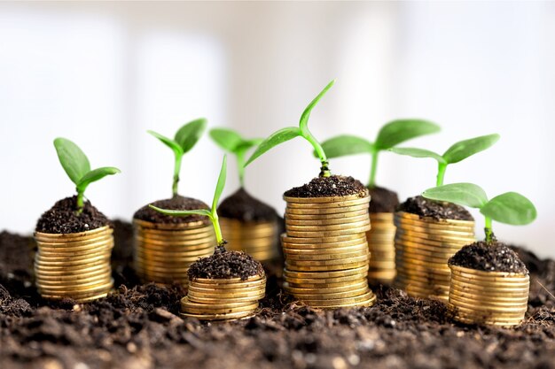 Pièces de monnaie dans le sol avec de jeunes plantes sur fond flou