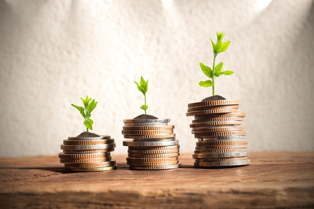 Pièces de monnaie avec jeune plant sur la table avec mur de ciment de fond.