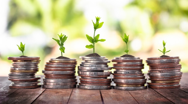 Pièces de monnaie avec jeune plante sur la table avec la toile de fond floue de la nature