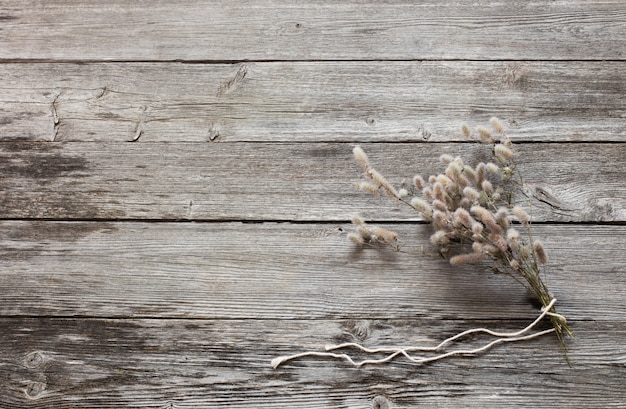 Photo pied de lièvre sur table en bois