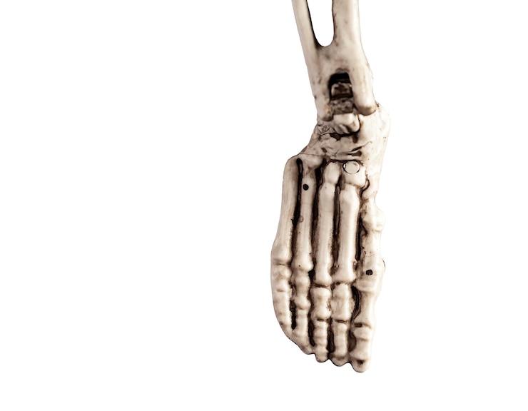 Photo pied squelette humain isolé sur fond blanc concept de médecine anatomie du système squelettique