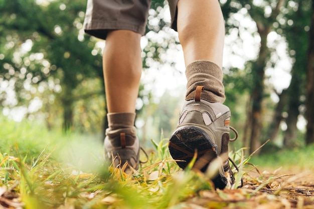 Pieds d'un adulte portant des bottes pour voyager à pied dans un concept de voyage et de randonnée en forêt verte